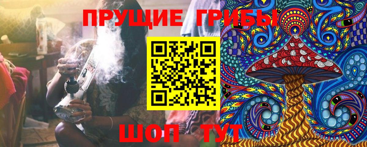 Псилоцибиновые грибы прущие грибы Новокуйбышевск